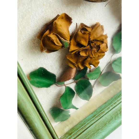 JAPANESE BUTTERFLY PAPILIO XUTHUS FRAMED DRIED TEXAS YELLOW ROSE Flower Framed - Picture 16 of 16